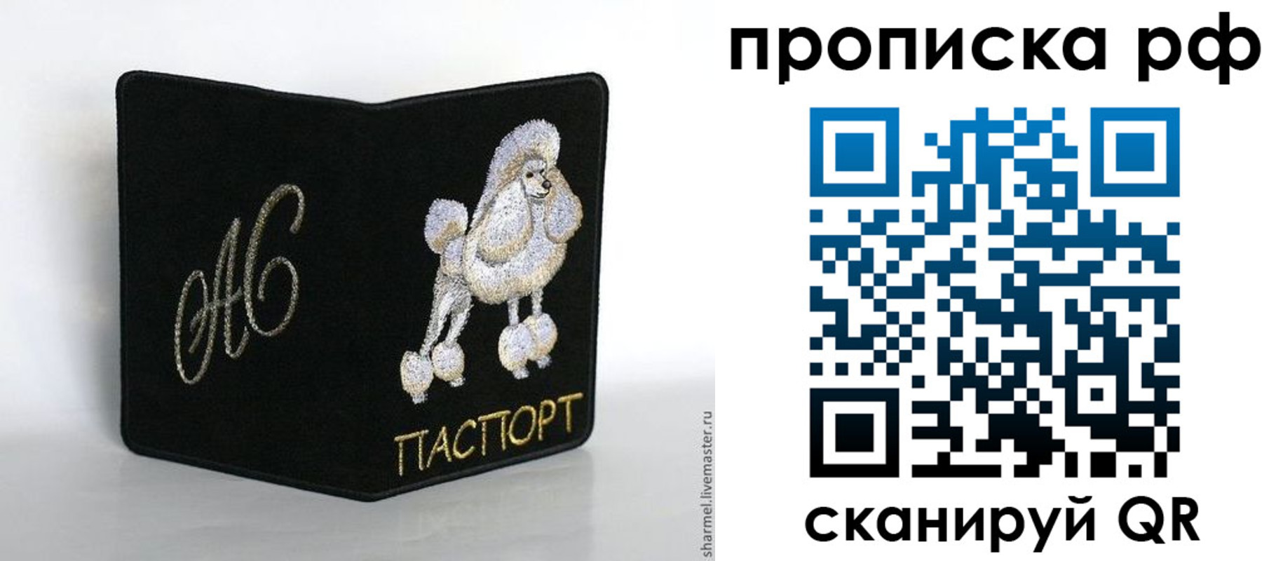 прописка поиск в Жуковском